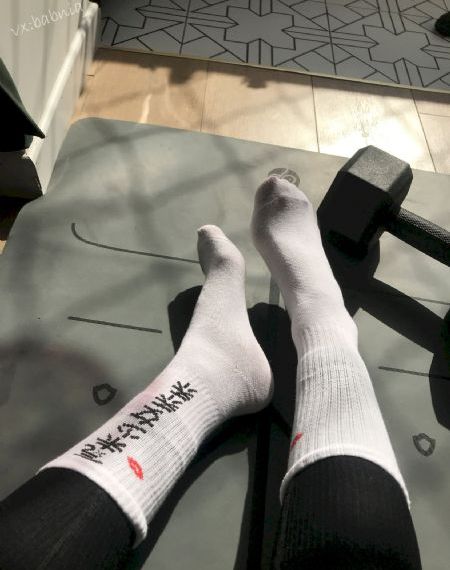 拉布拉多警长146集