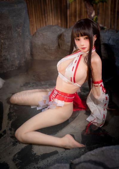 谍之心